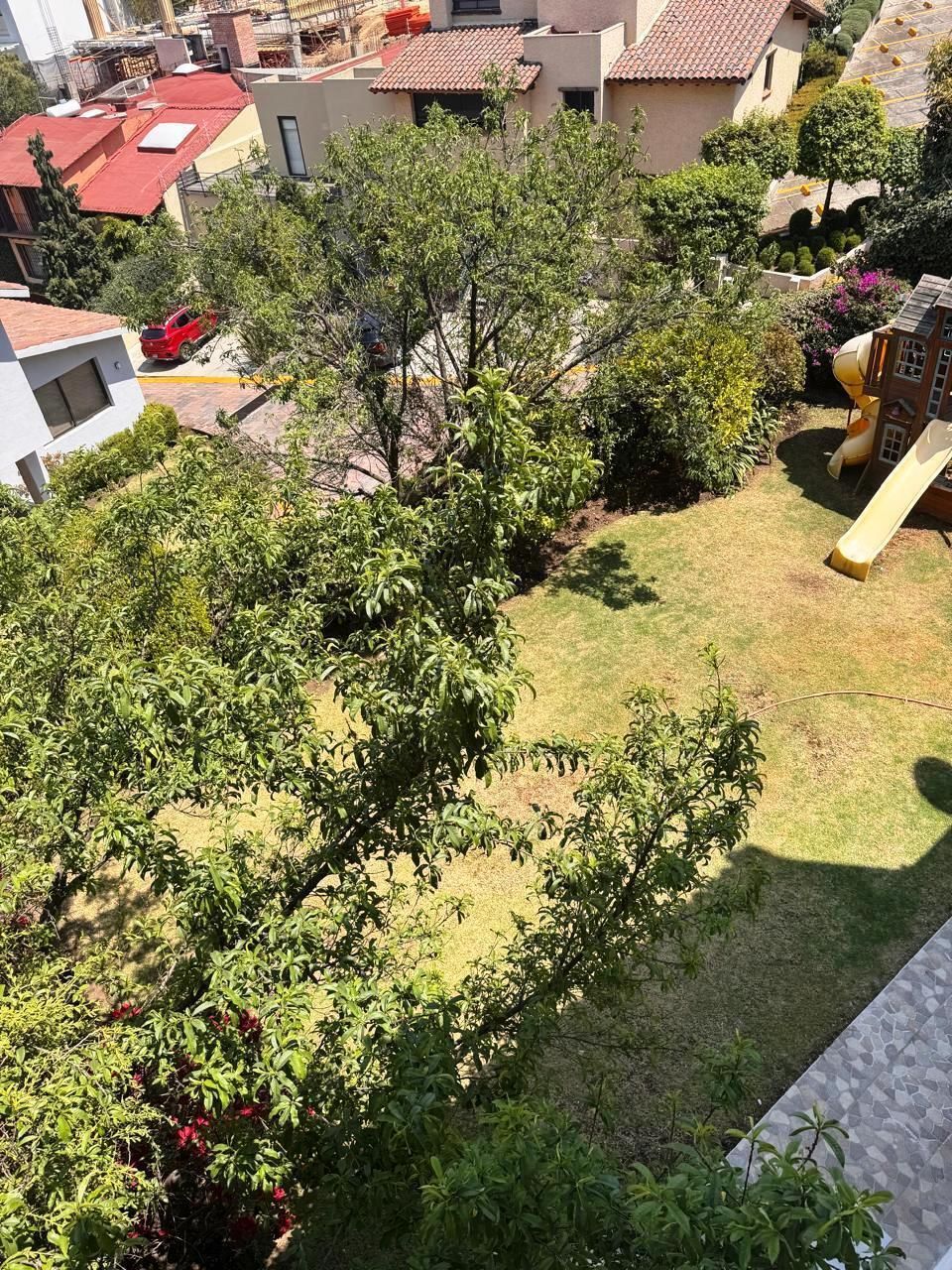 246, Paseo de los Laureles, Bosques de las Lomas, 05120 246, Paseo de los Laureles, Bosques de las Lomas, 05120
